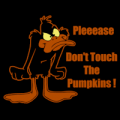 Daffy Dont Touch the Pumpkins