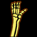 Hand_01_MOCK.png