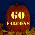 Atlanta Falcons 08 CO