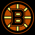 Boston Bruins 02