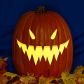 Jack O 244 CO