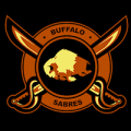Buffalo Sabres 08