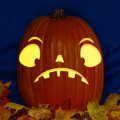 Jack-O 108 CO