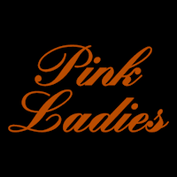 Grease Pink Ladies - StoneyKins