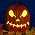 Jack O 240 CO