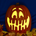 Jack O 225 CO