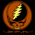 Grateful Dead Steal Your Face 01