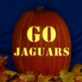 Jacksonville Jaguars 05 CO