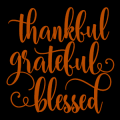 Thankful Grateful Blessed 03