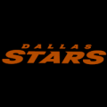 Dallas Stars 17