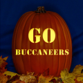 Tampa Bay Buccaneers 08 CO