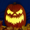 Jack O 228 CO