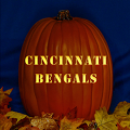 Cincinnati Bengals 04 CO