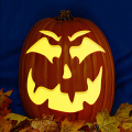 Jack O 232 CO
