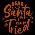 Dear Santa I Really Tried 01