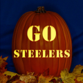 Pittsburgh Steelers 08 CO