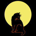 Cat Moon 01