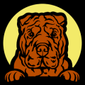 Shar Pei Peeking 01