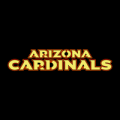 Arizona Cardinals 08