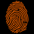 Fingerprint 02