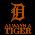 Detroit Tigers 14