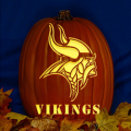Minnesota Vikings 02 CO
