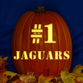 Jacksonville Jaguars 06 CO