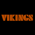 Minnesota Vikings 03