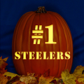 Pittsburgh Steelers 05 CO