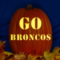 Denver Broncos 05 CO