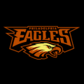 Philadelphia Eagles 01