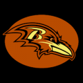 Baltimore Ravens 05