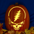 Grateful Dead Steal Your Face 02 CO