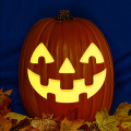 Jack O 246 CO