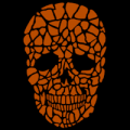 Rock Skull