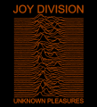 Joy Division