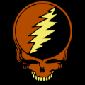 Grateful Dead Steal Your Face 04