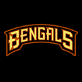 Cincinnati Bengals 07
