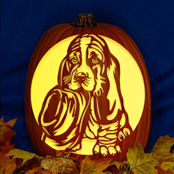 Basset hound pumpkin discount