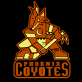 Phoenix Coyotes 02