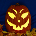 Jack O 239 CO