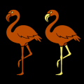 Flamingos