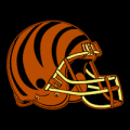 Cincinnati Bengals 12