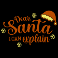 Dear Santa I Can Explain 01