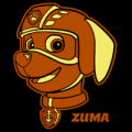 Paw Patrol Zuma