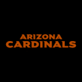 Arizona Cardinals 11