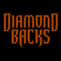 Arizona Diamondbacks 09
