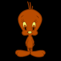 Tweety 03