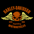 Harley Davidson Motorcycles 02