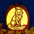 Foxy CO